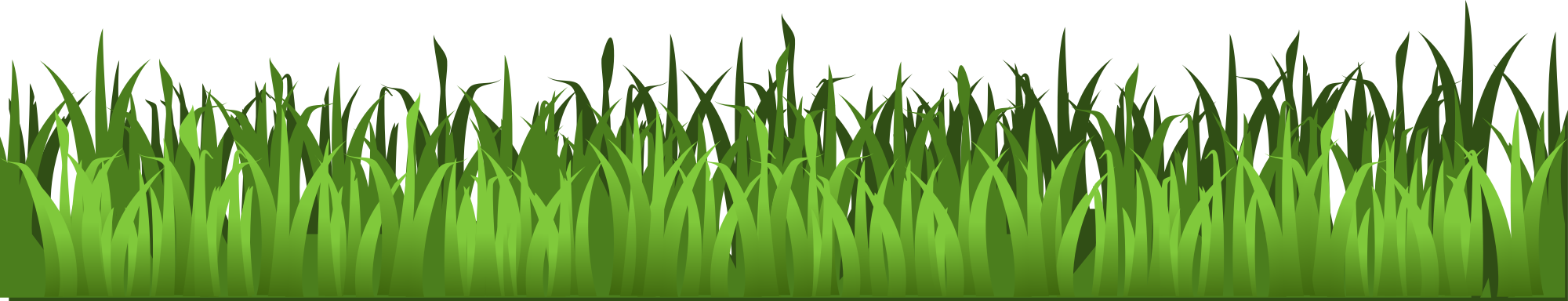 Side view of grass blades